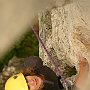 031_drevenik 08_200